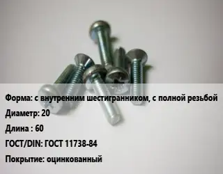 Винт с внутренним шестигранником, с полной резьбой 20х60 ГОСТ 11738-84 оцинкованный